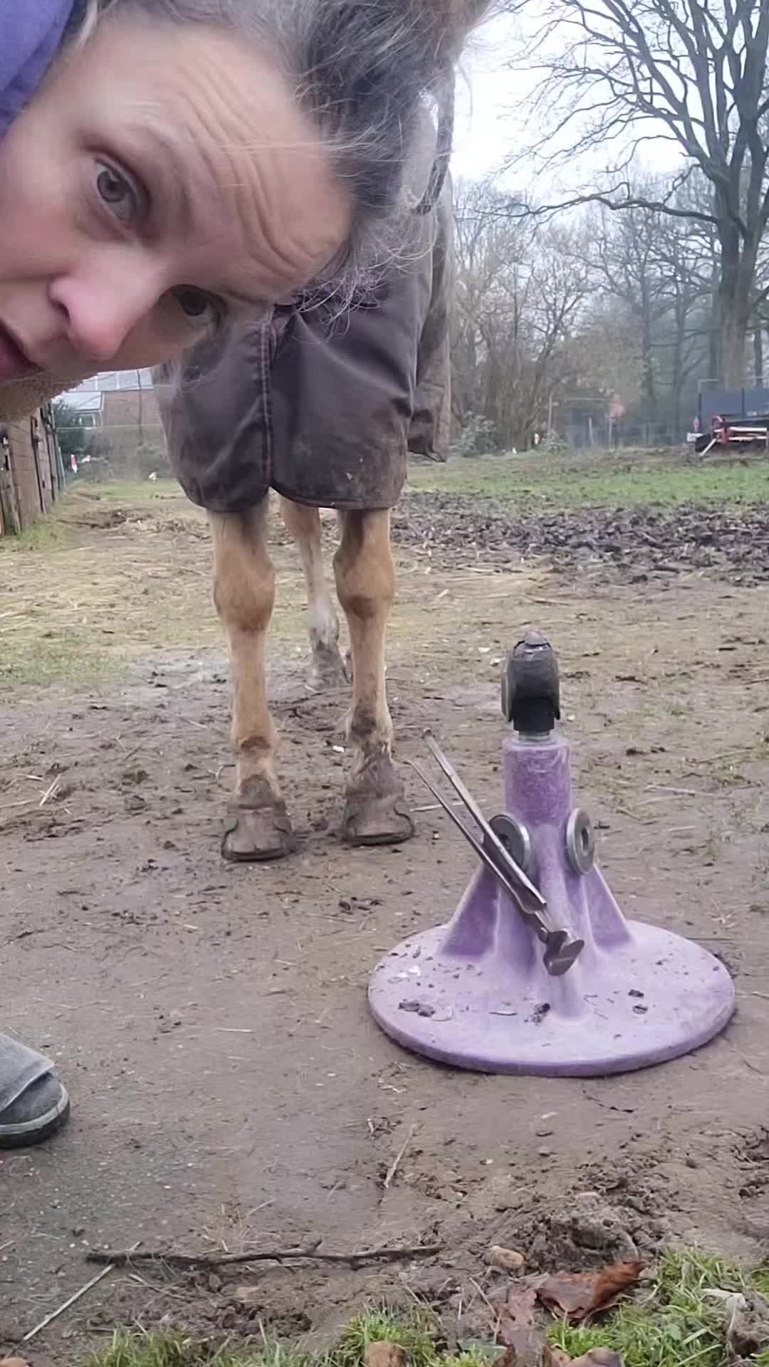 @skilly.hoof.hufpflege