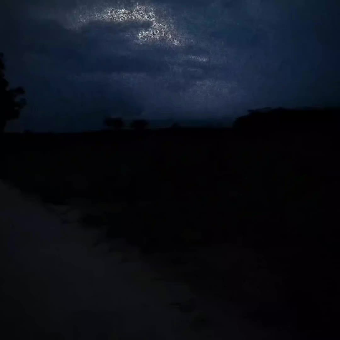 @паранойя