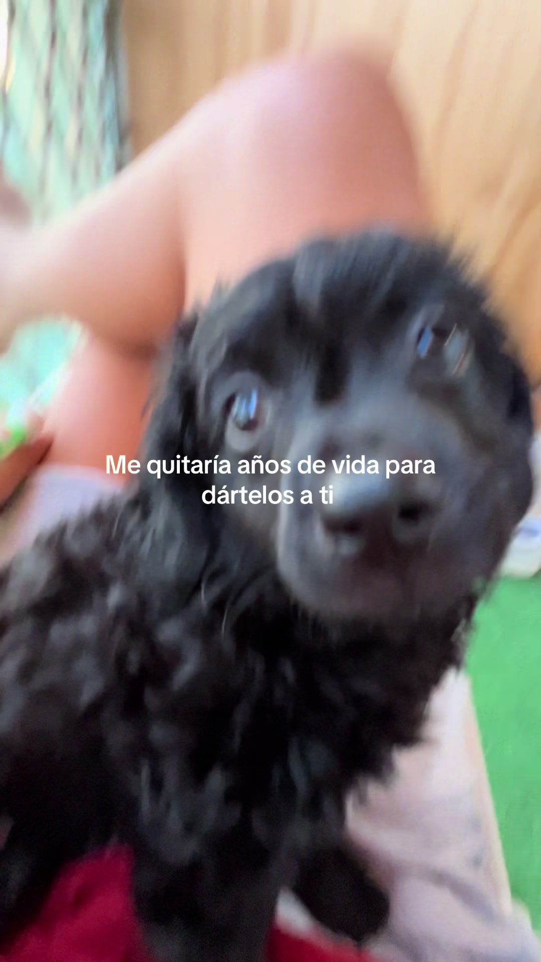 @María