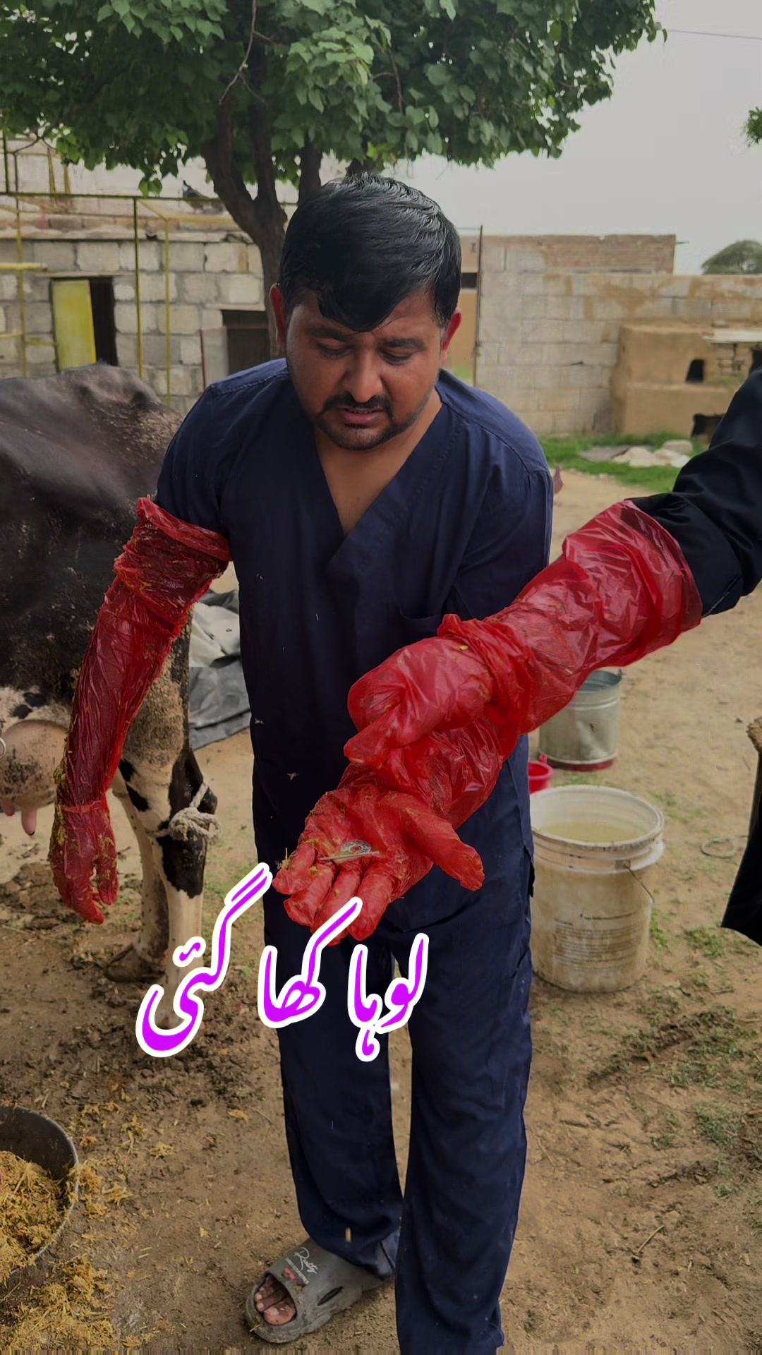 @vet.dr.mohsin4800