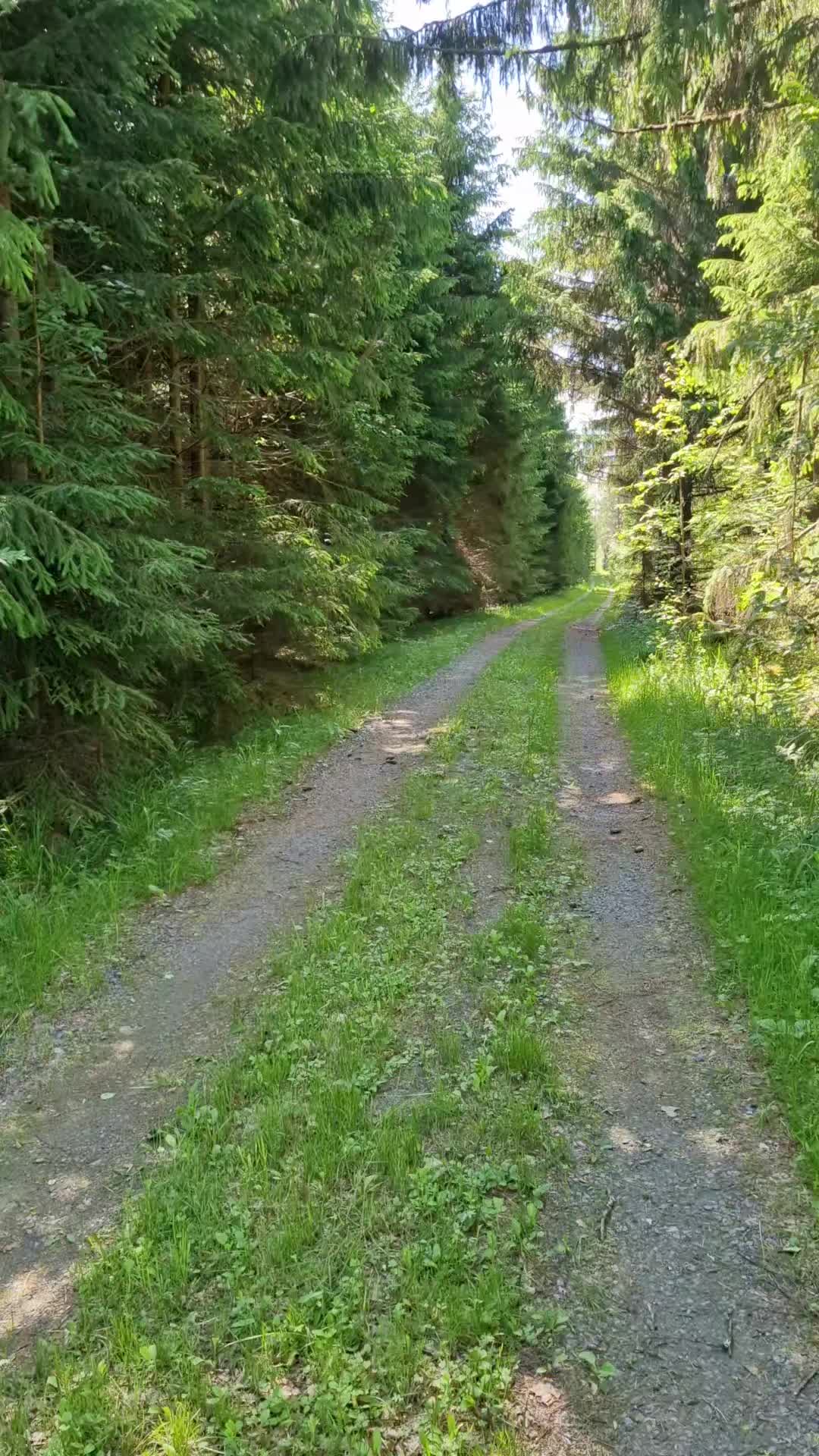 @MustaSyd&auml;n
