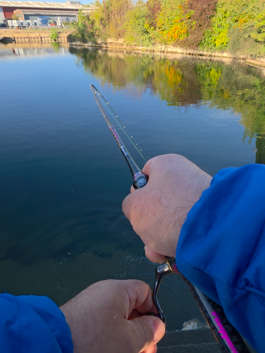 @BF Angler