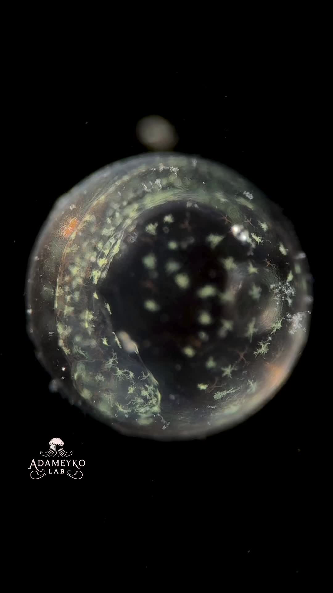 @The_story_of_a_biologist