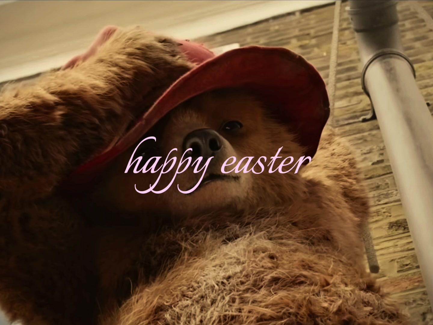 @˚✧₊☆｡⋆
