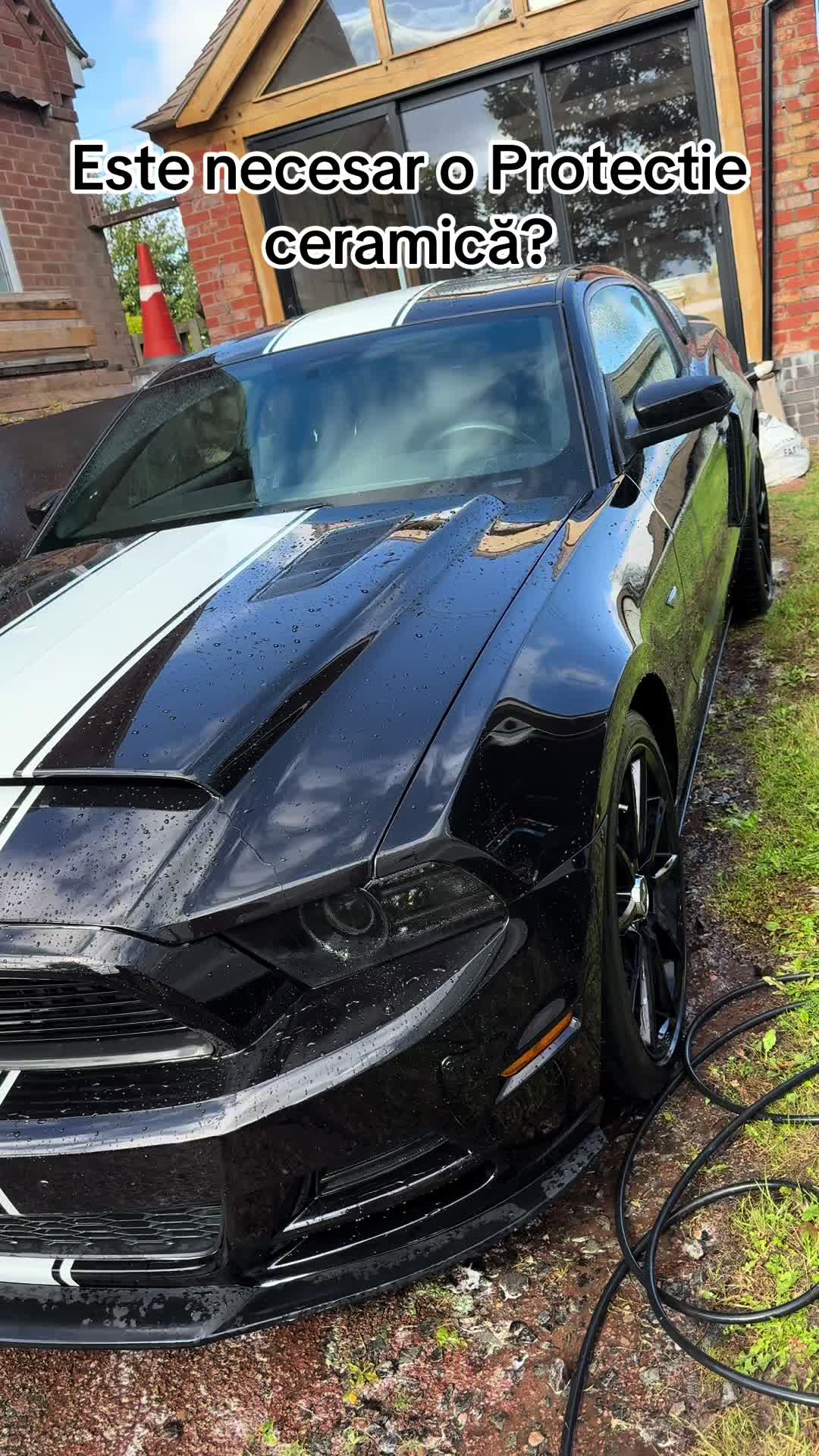 @TDM Mobile Cleaning🇬🇧