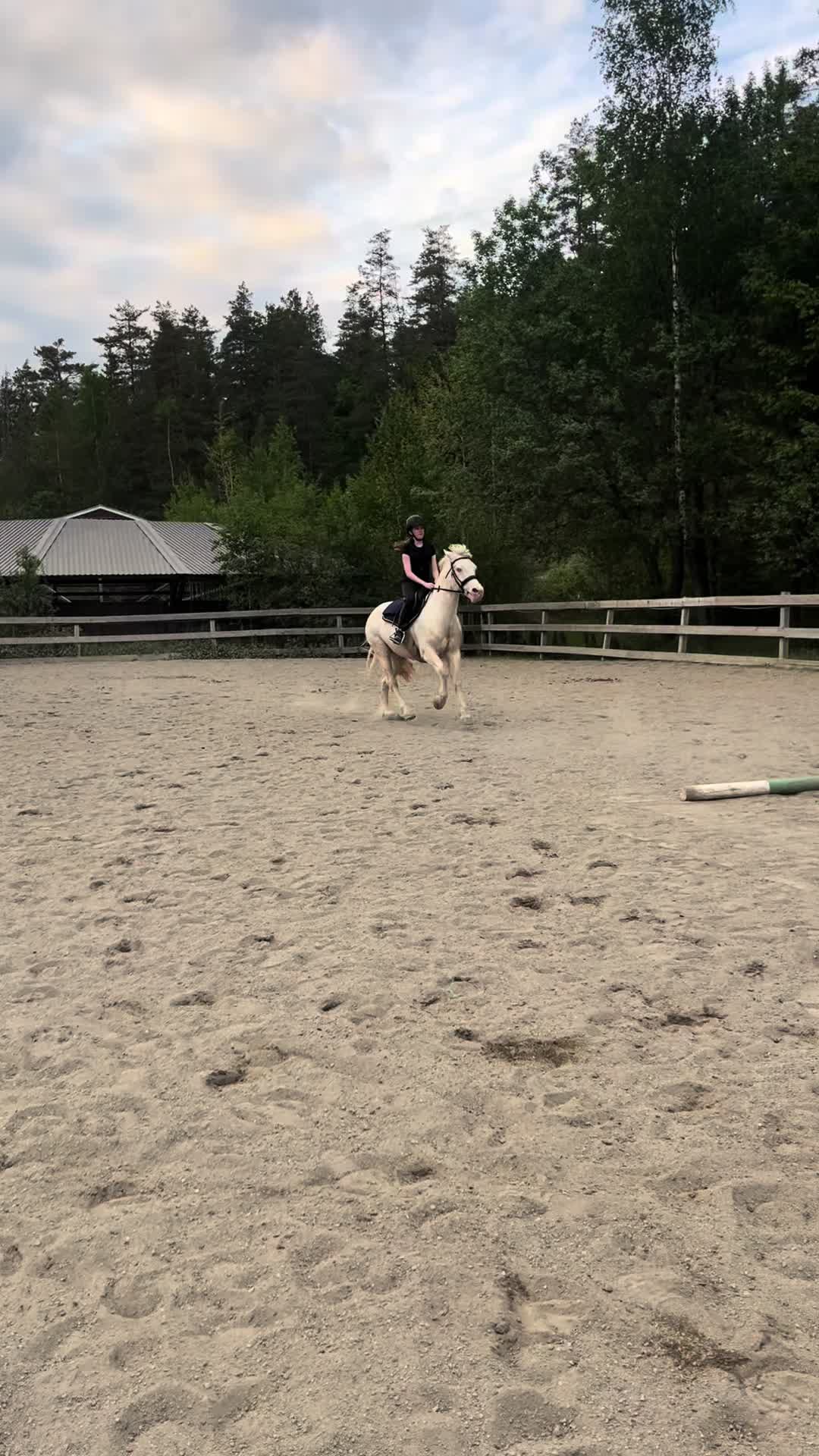 @Equi_…