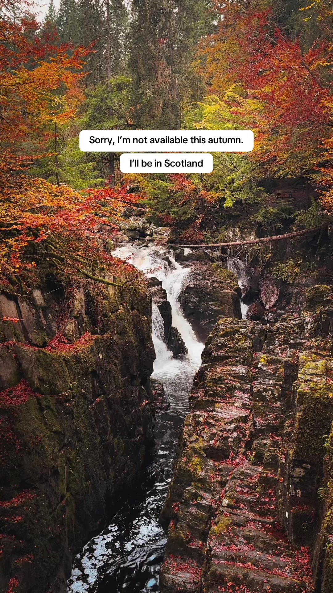 @John Murray - Scotland