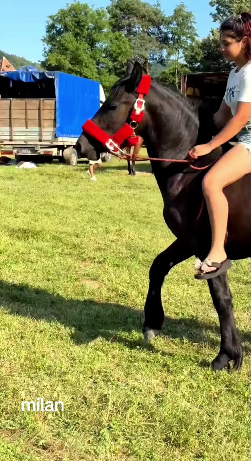 @👑alina🐎👑