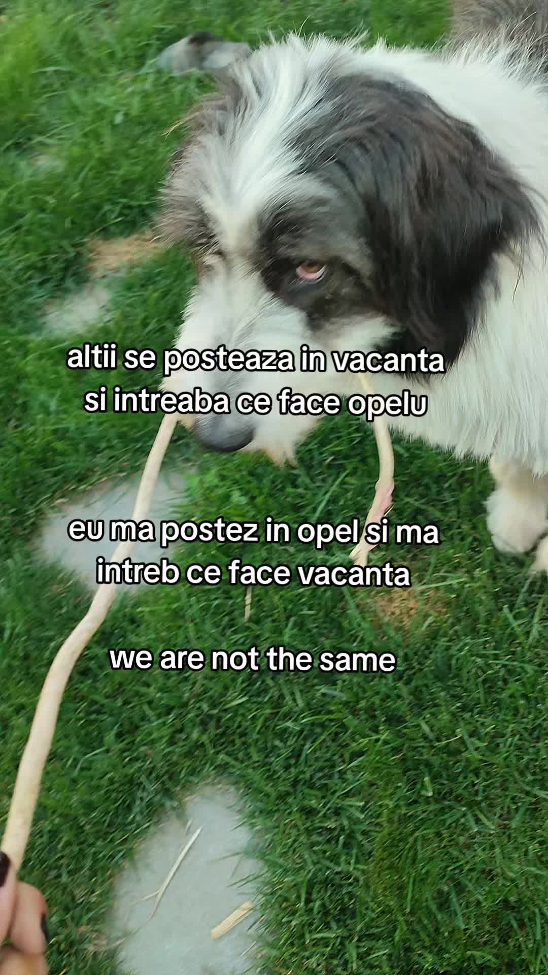 @Hera