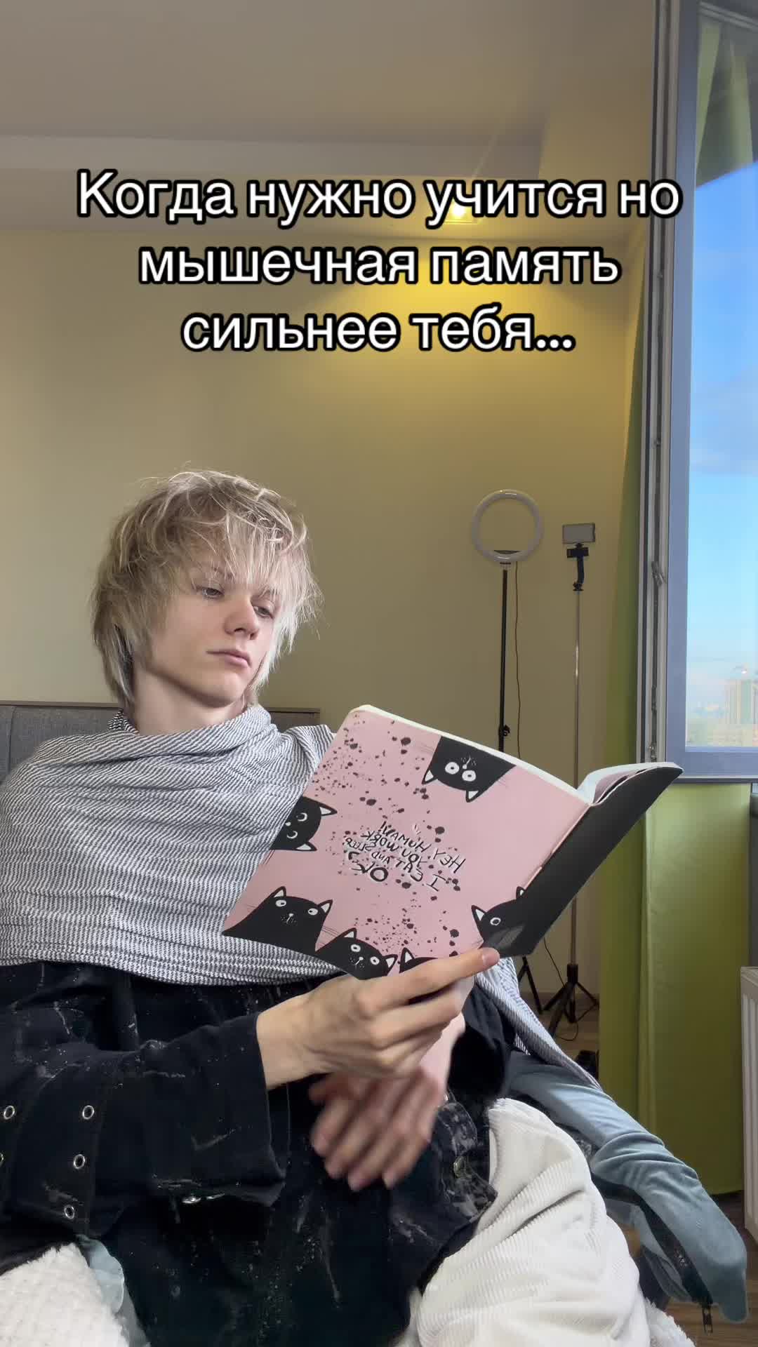 @Mentalcord (•~•)