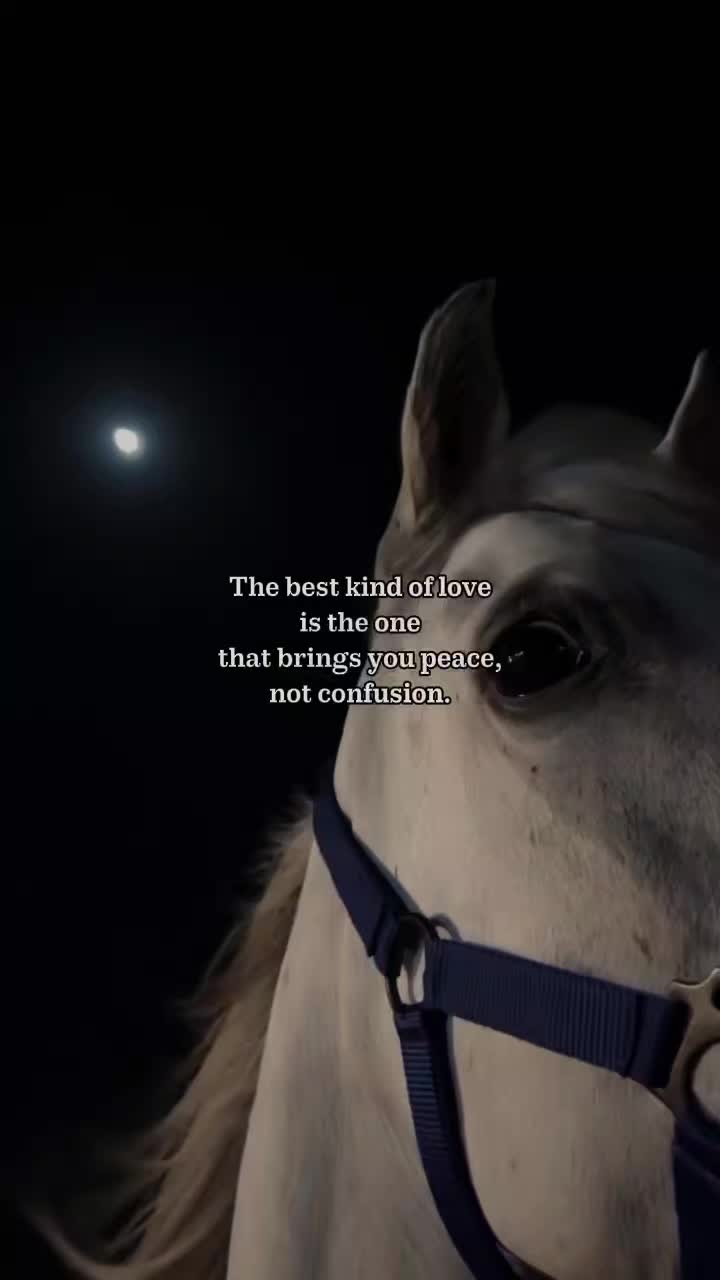 @𝓓𝓐𝓦𝓞𝓞𝓓