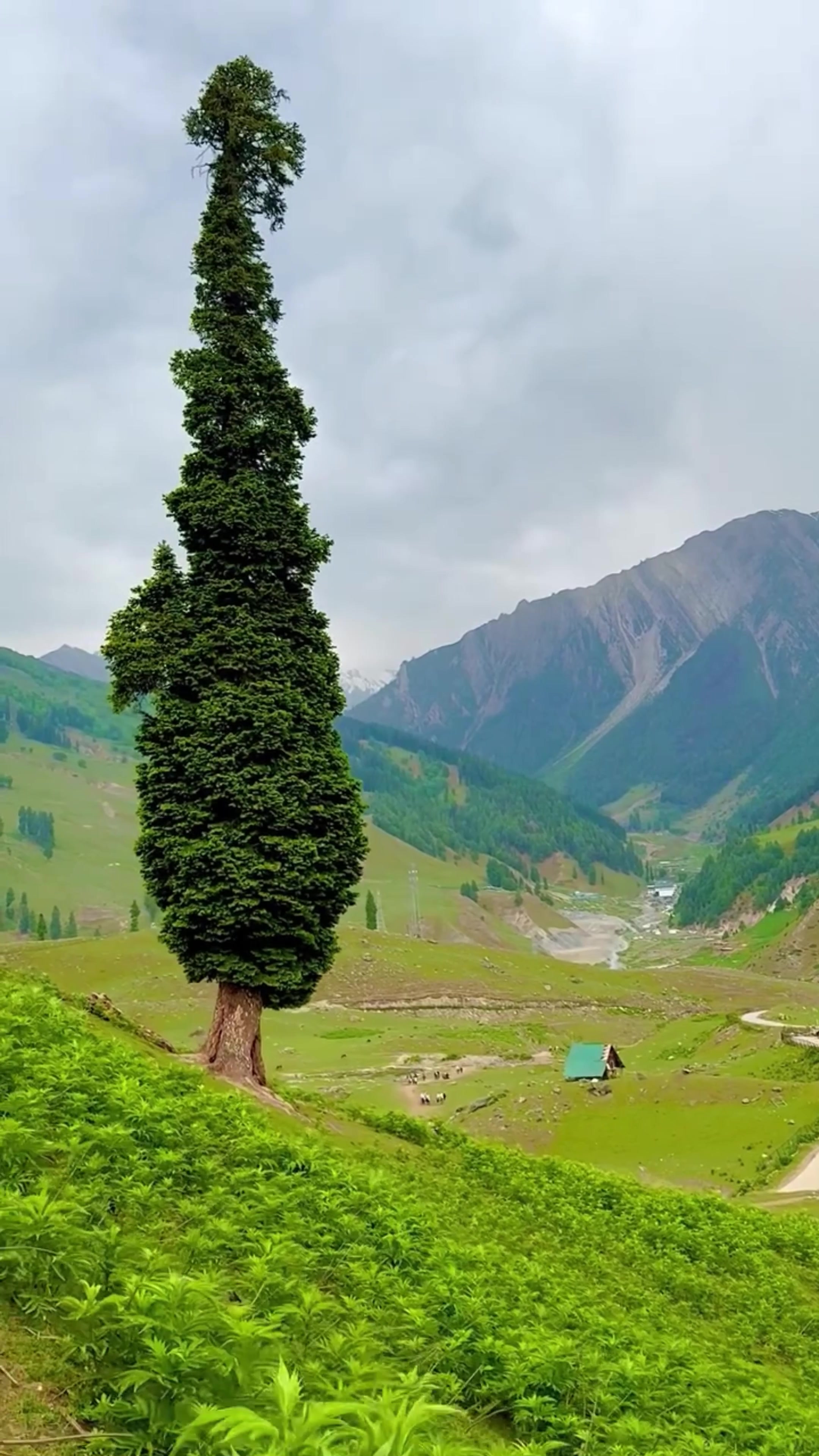 @World 🌍 beauty