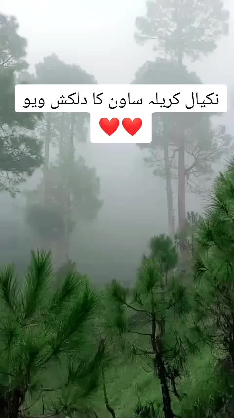 @،💔💔💔Dil ki baat Dil Tek💔💔