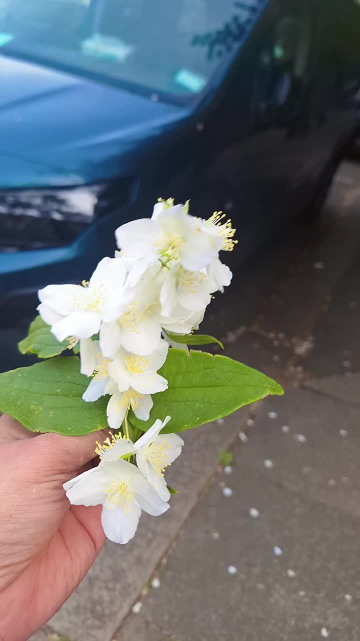 @MRS khanom🇧🇩❤️🇬🇧