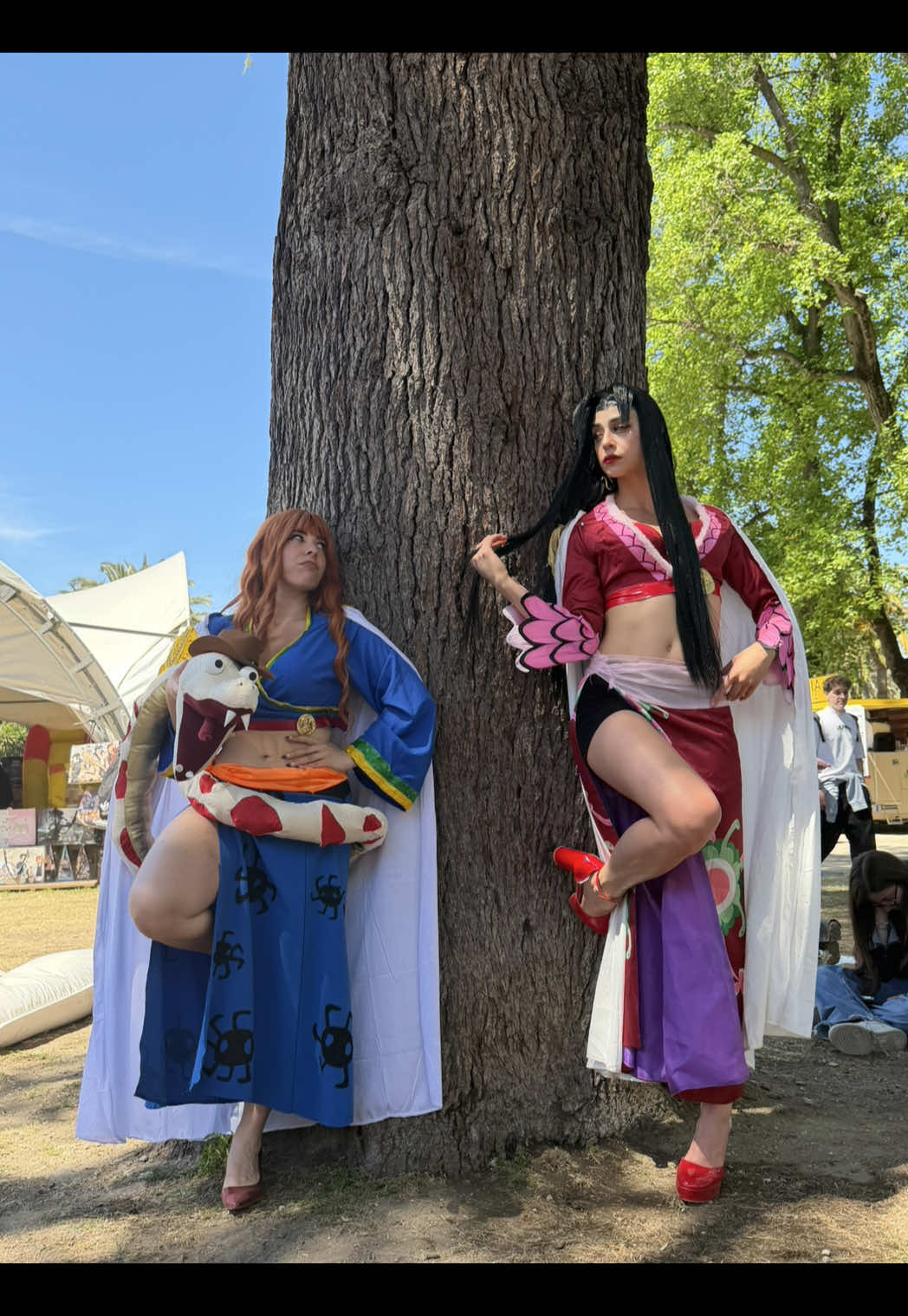@✨Araara✨