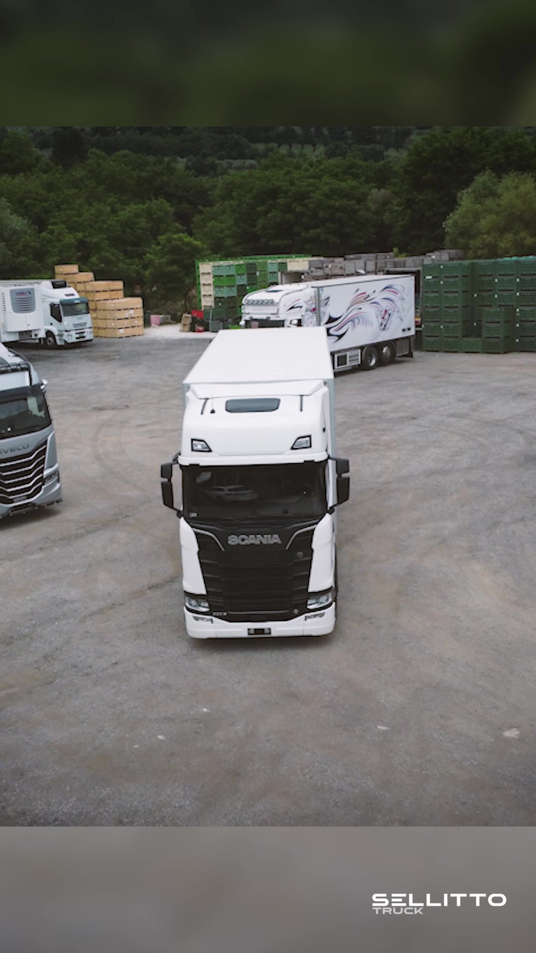 @IMPORT/EXPORT SRL