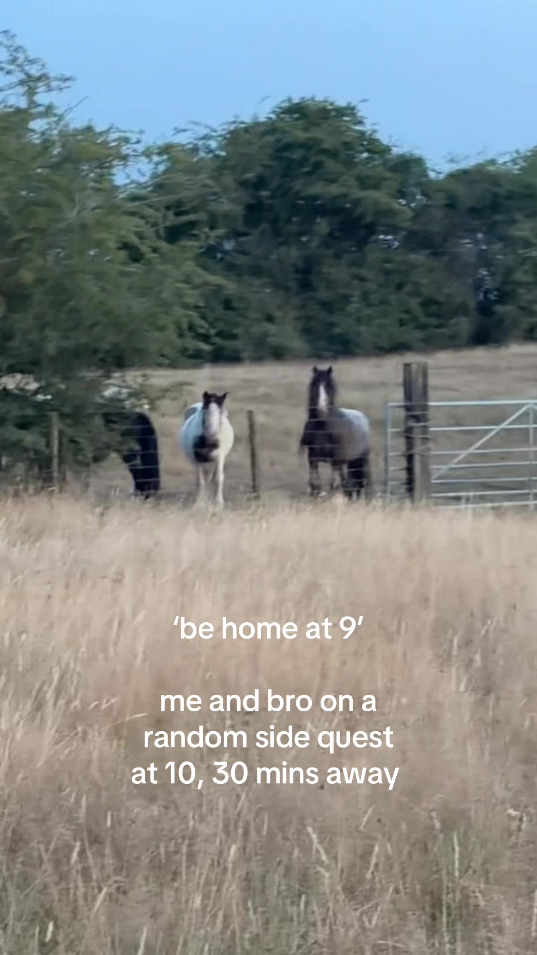 @the goat