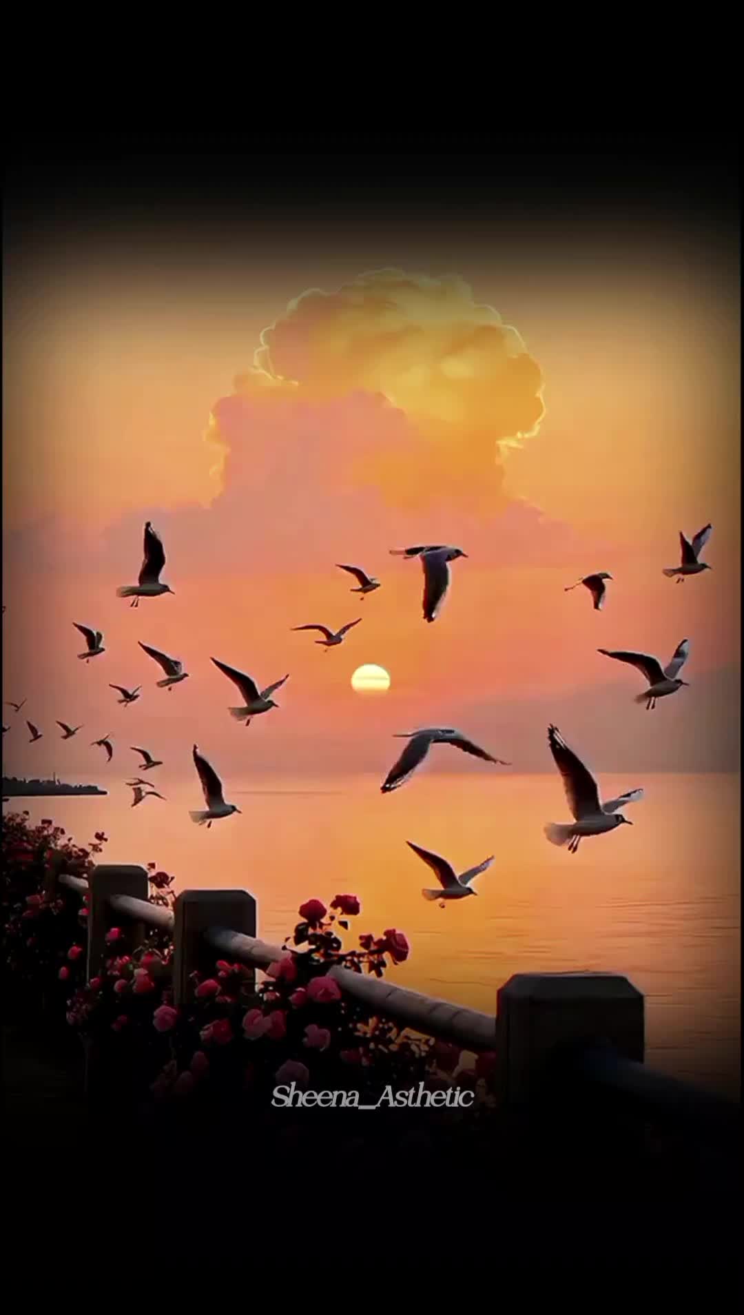@💞𝓘𝓽𝔁.𝓒𝓪𝓽𝓸💞