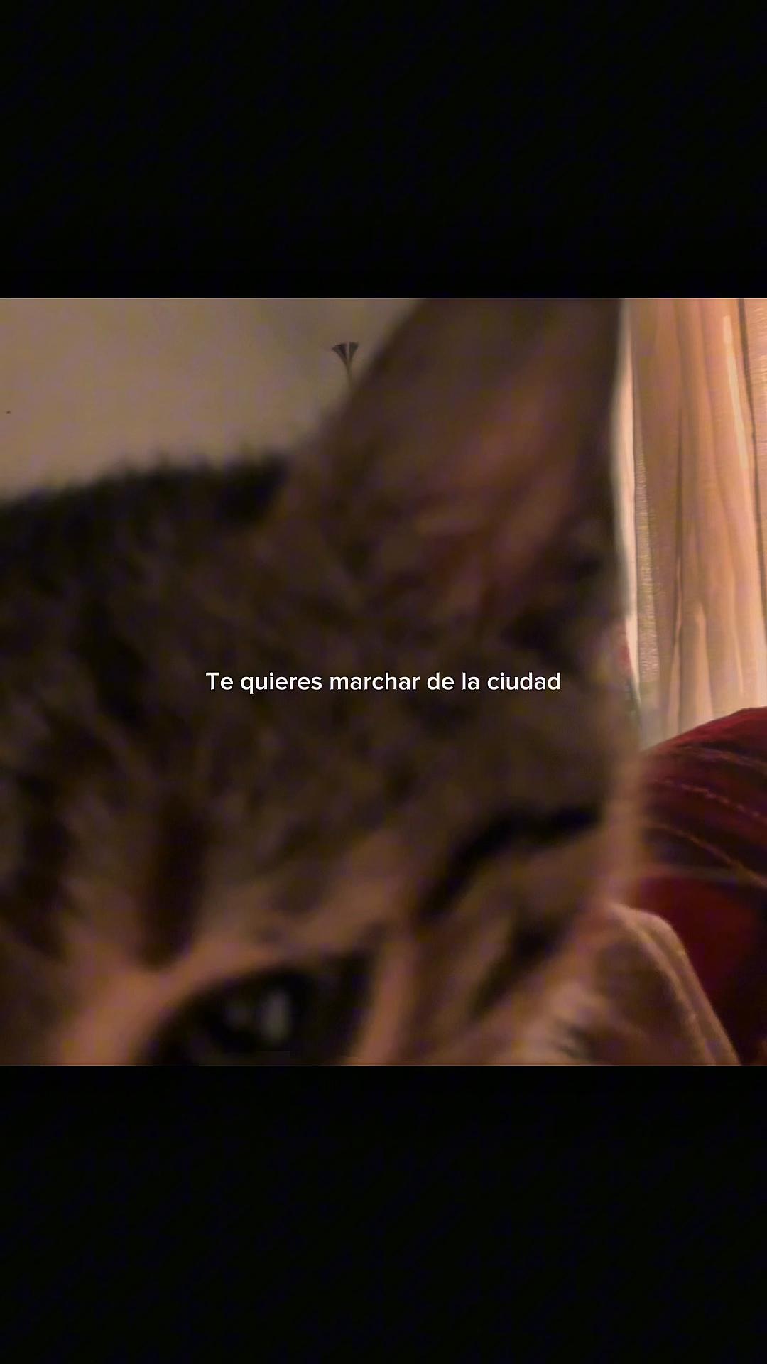 @no soy nadie.