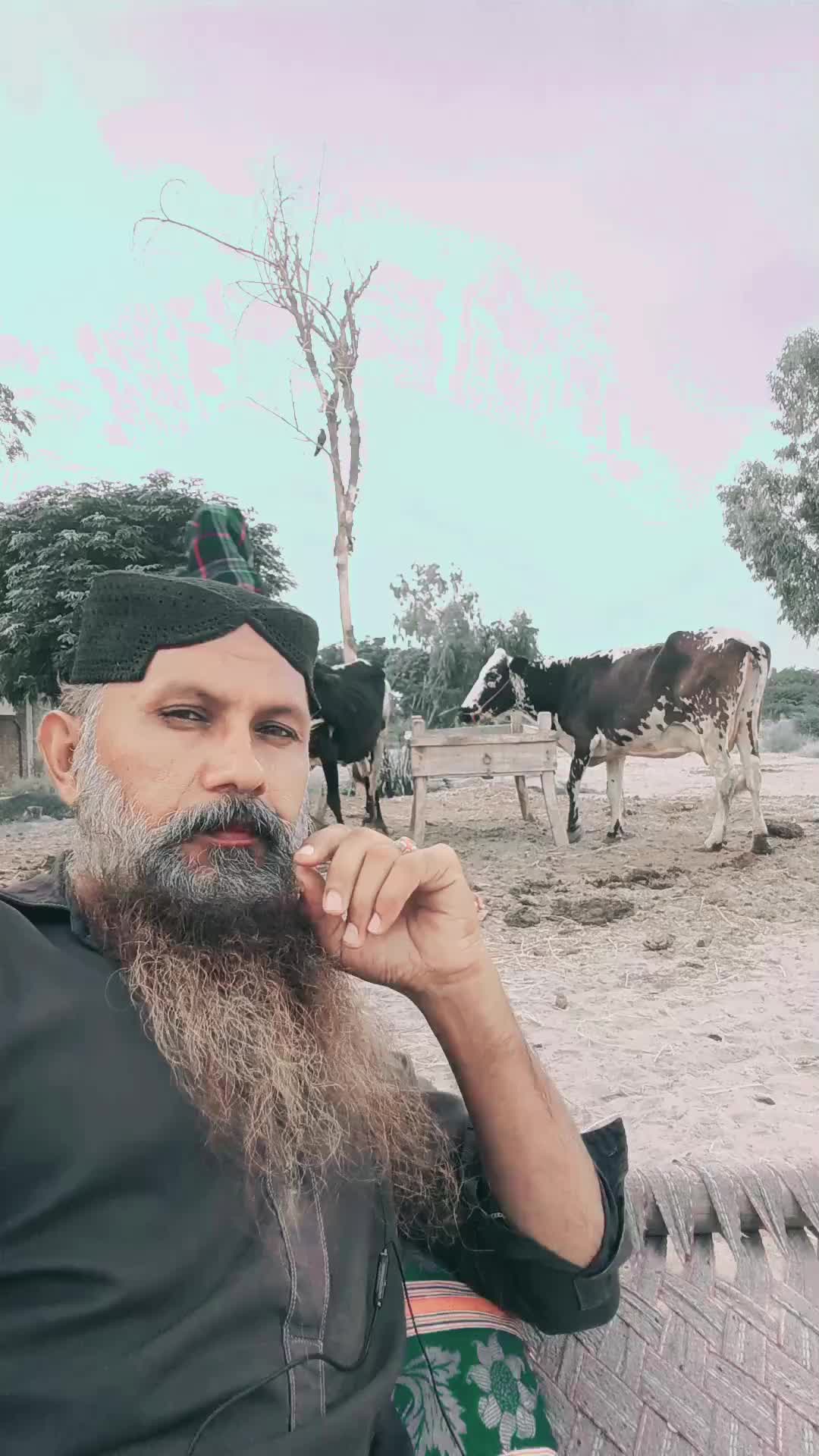 @Hanif bhatti347