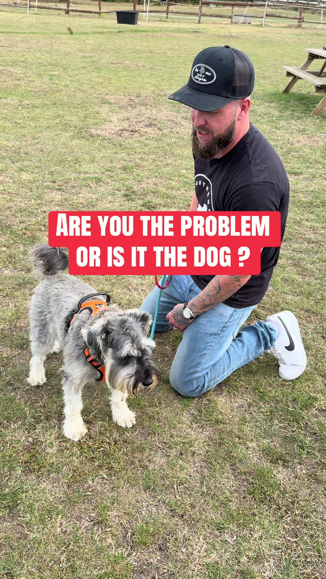 @SouthendDogTraining
