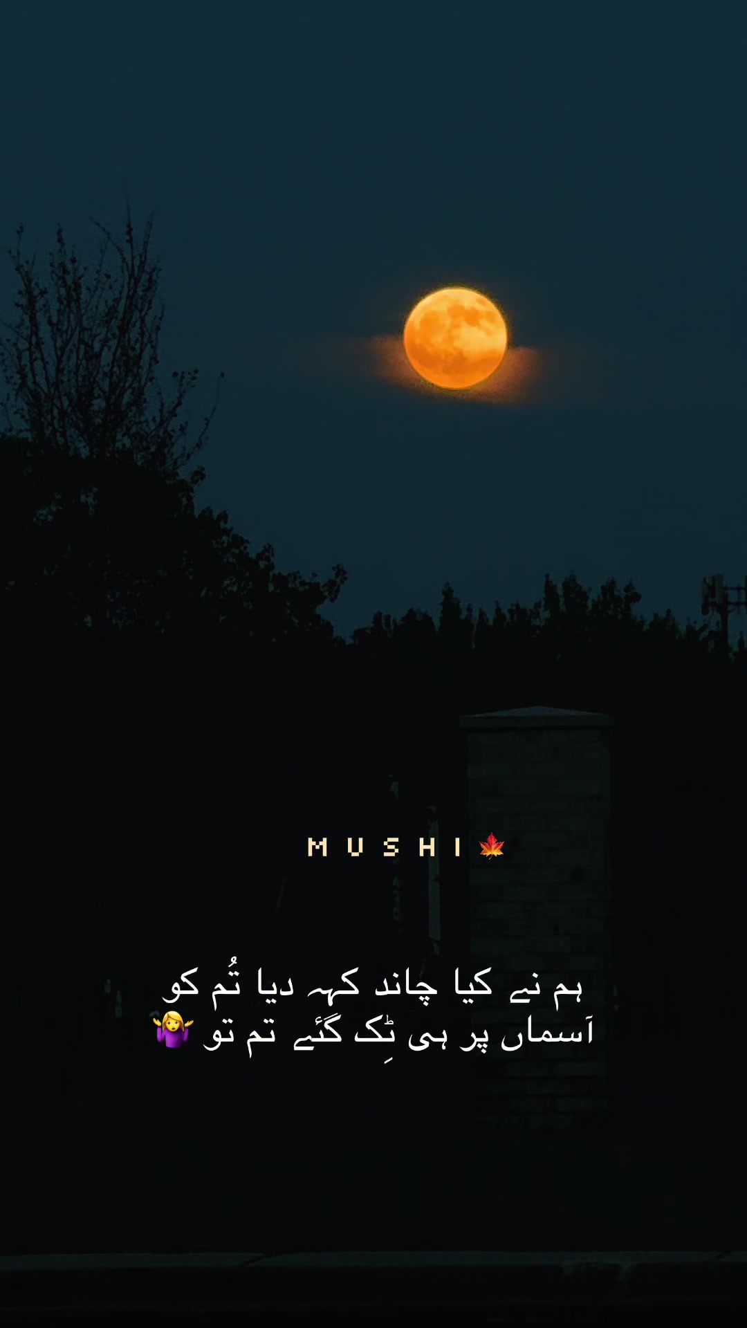 @Ayzal🍁Mushi