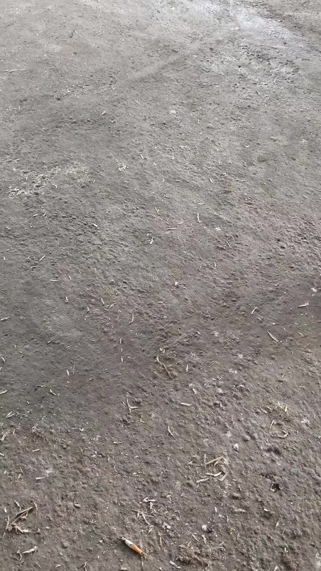 @👻🦊 Lapino &Scaron;mėkla 🦊👻