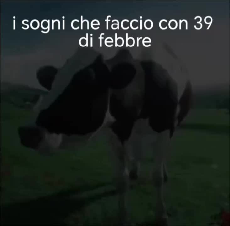 @vitto👑