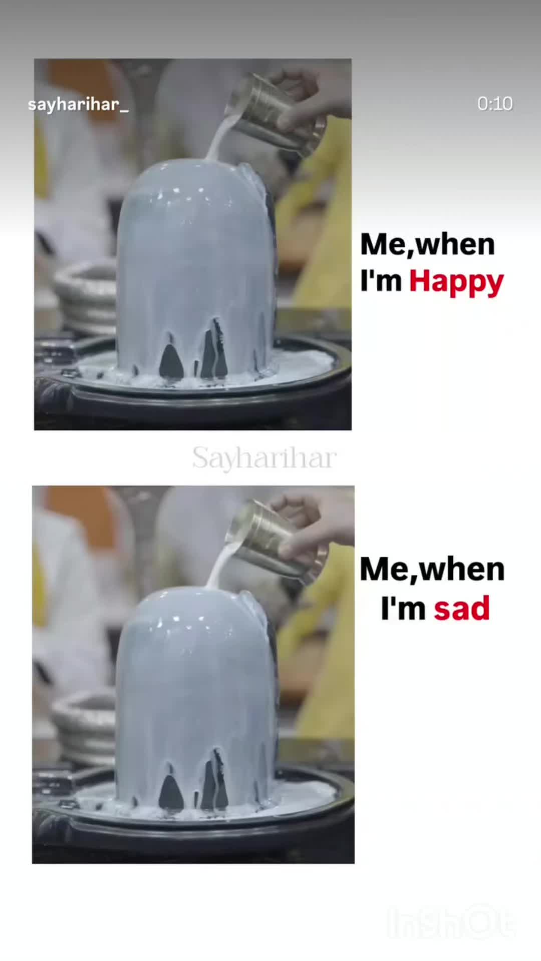 @chirpybird_wanderlust