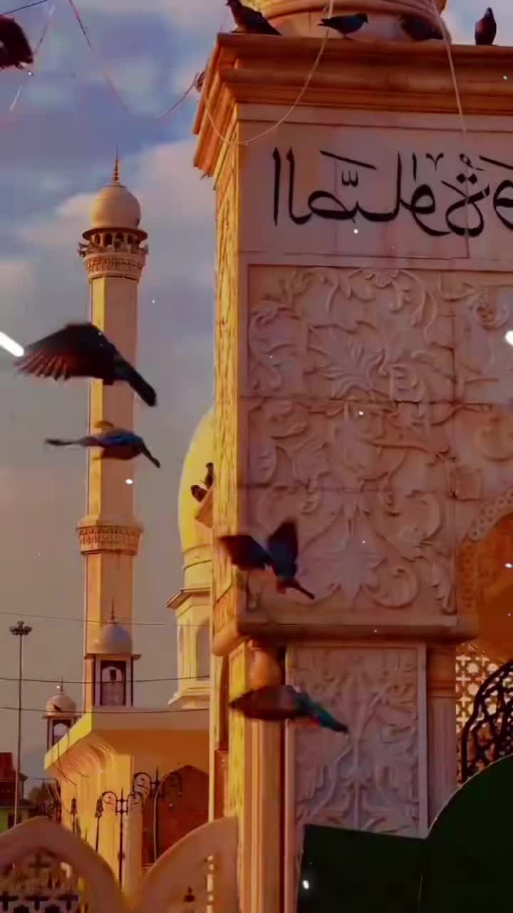 @rahehaq931