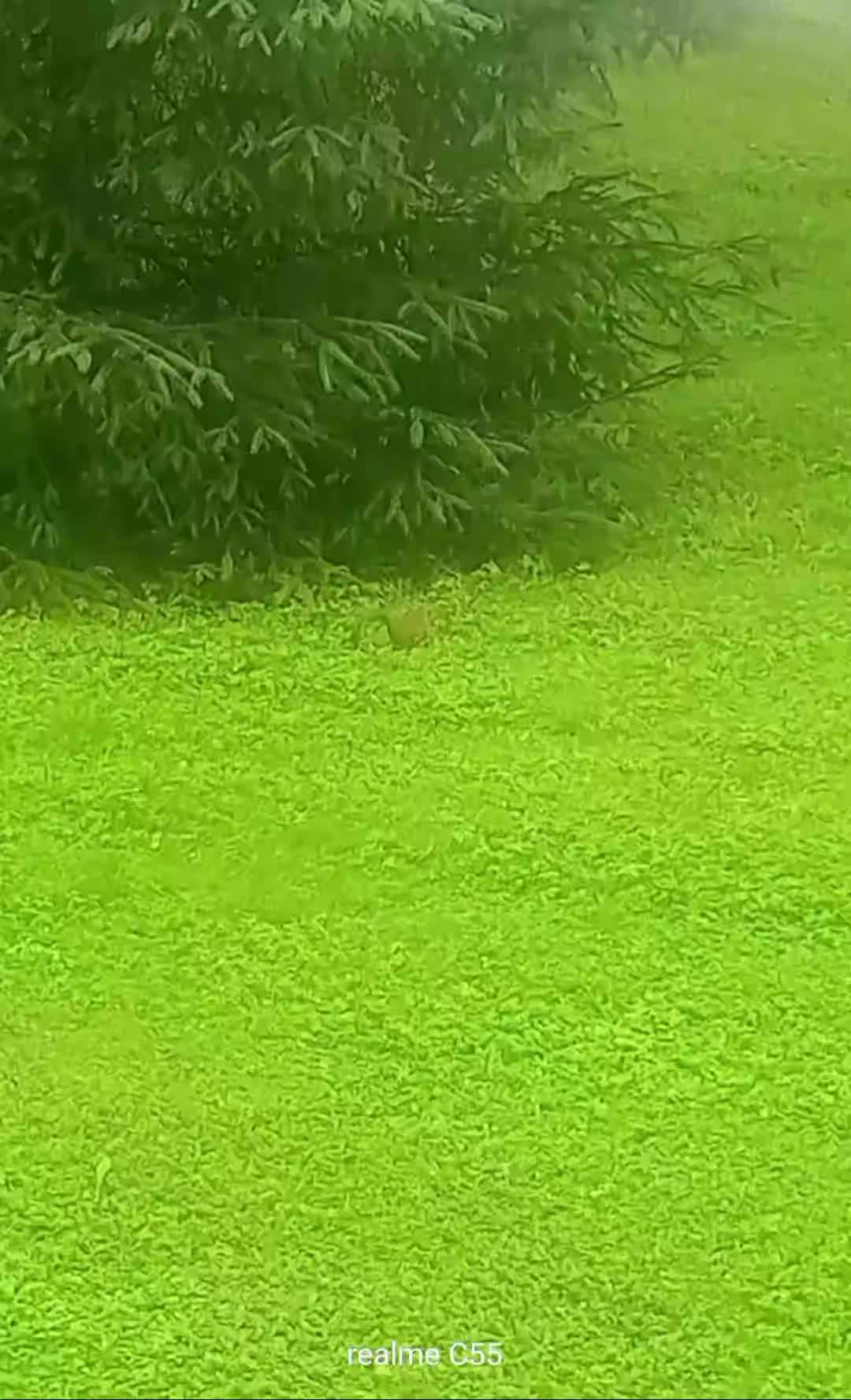 @Юльчик_937