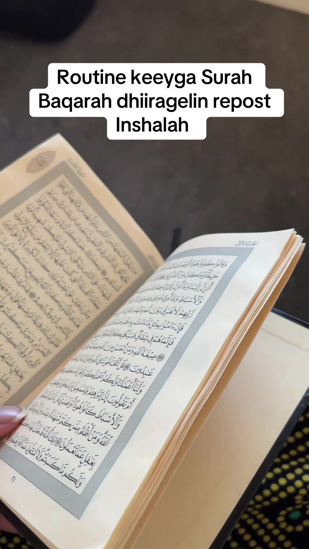 @InaCaliCanshuur👑📚