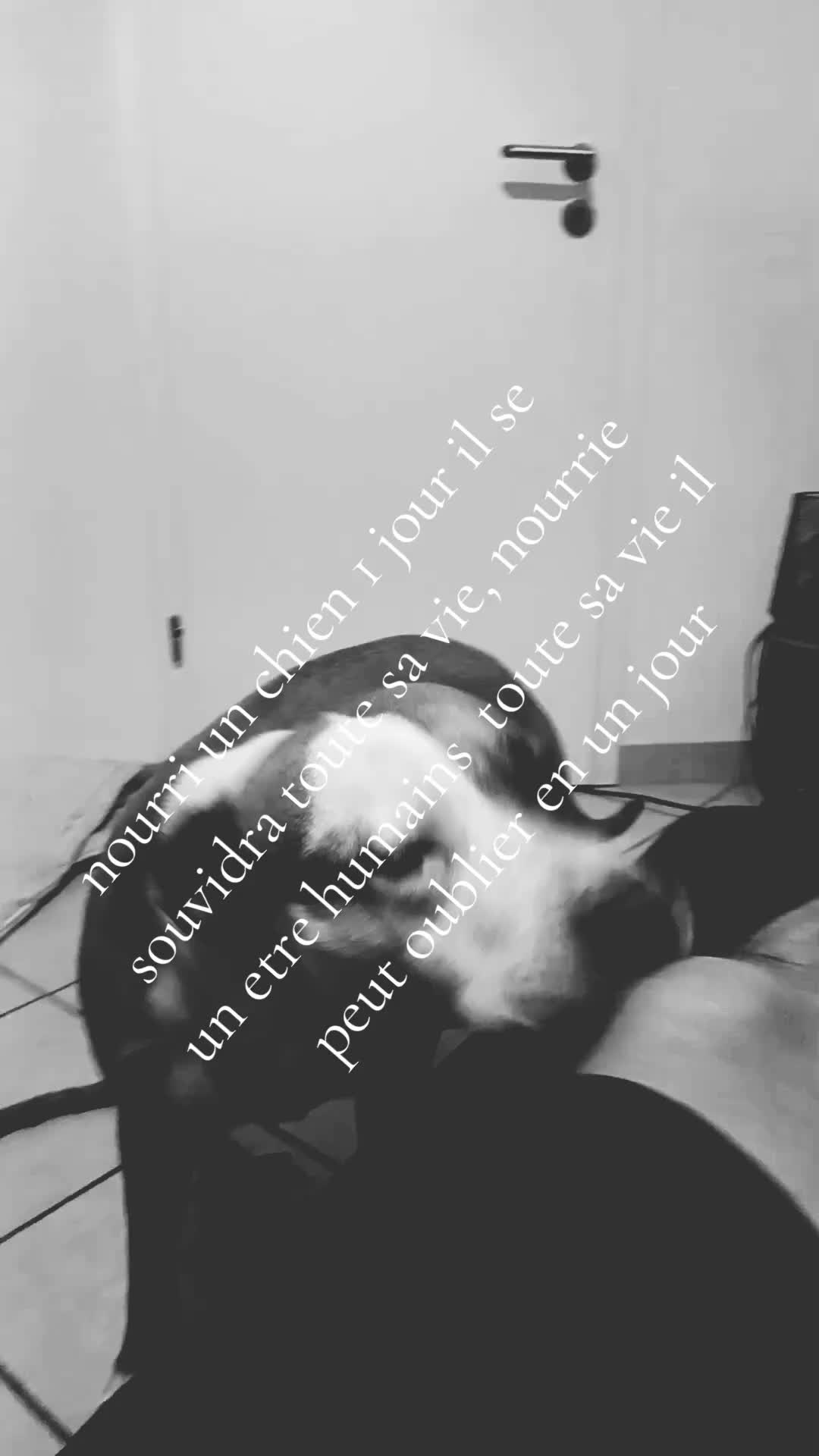 @v10