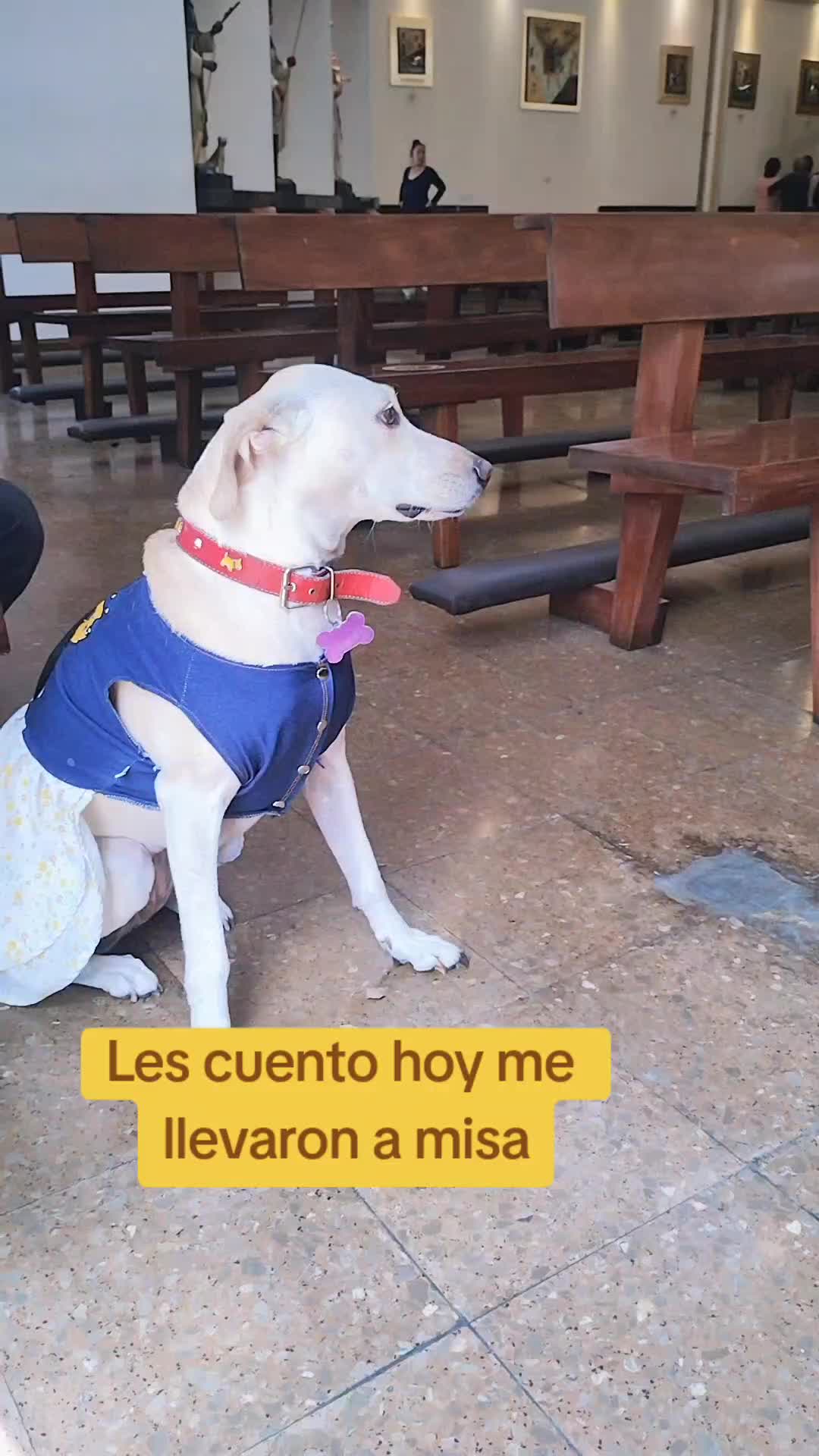 @winnie ❤🦮