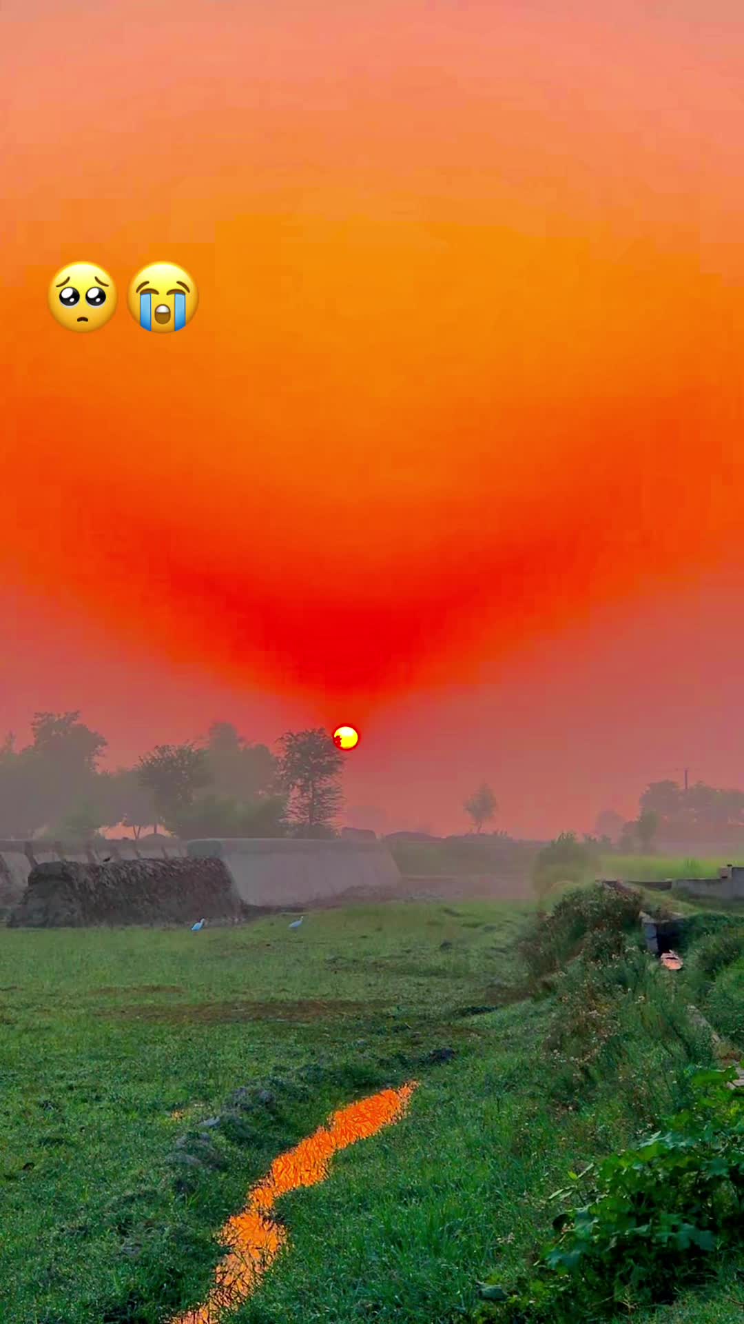 @پنجابی لڑکی🍃🌱💯