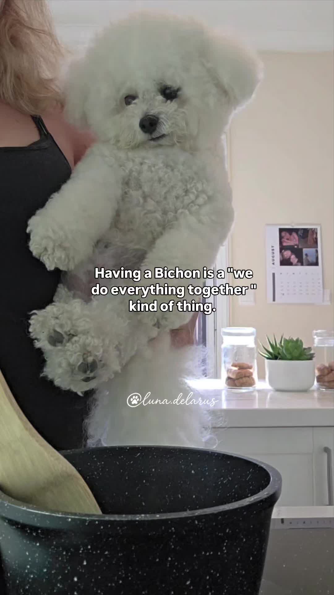 @Luna