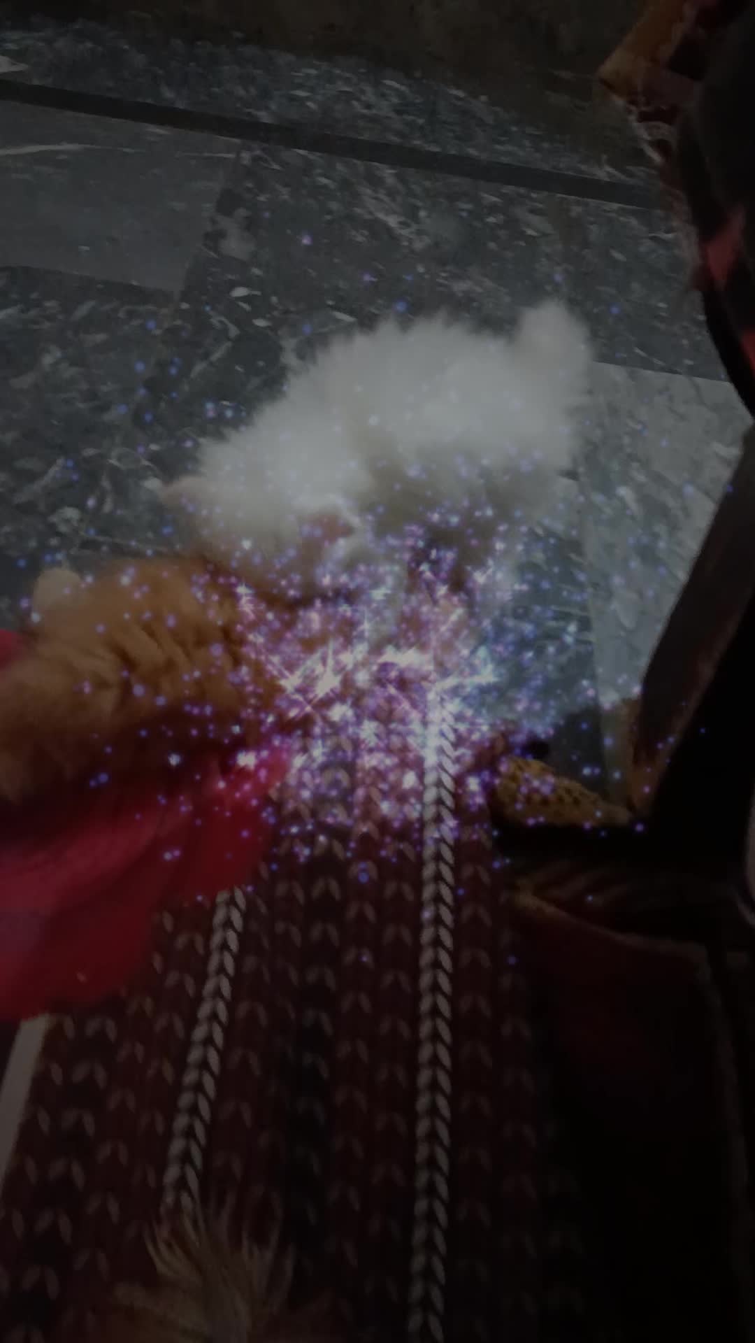@angel