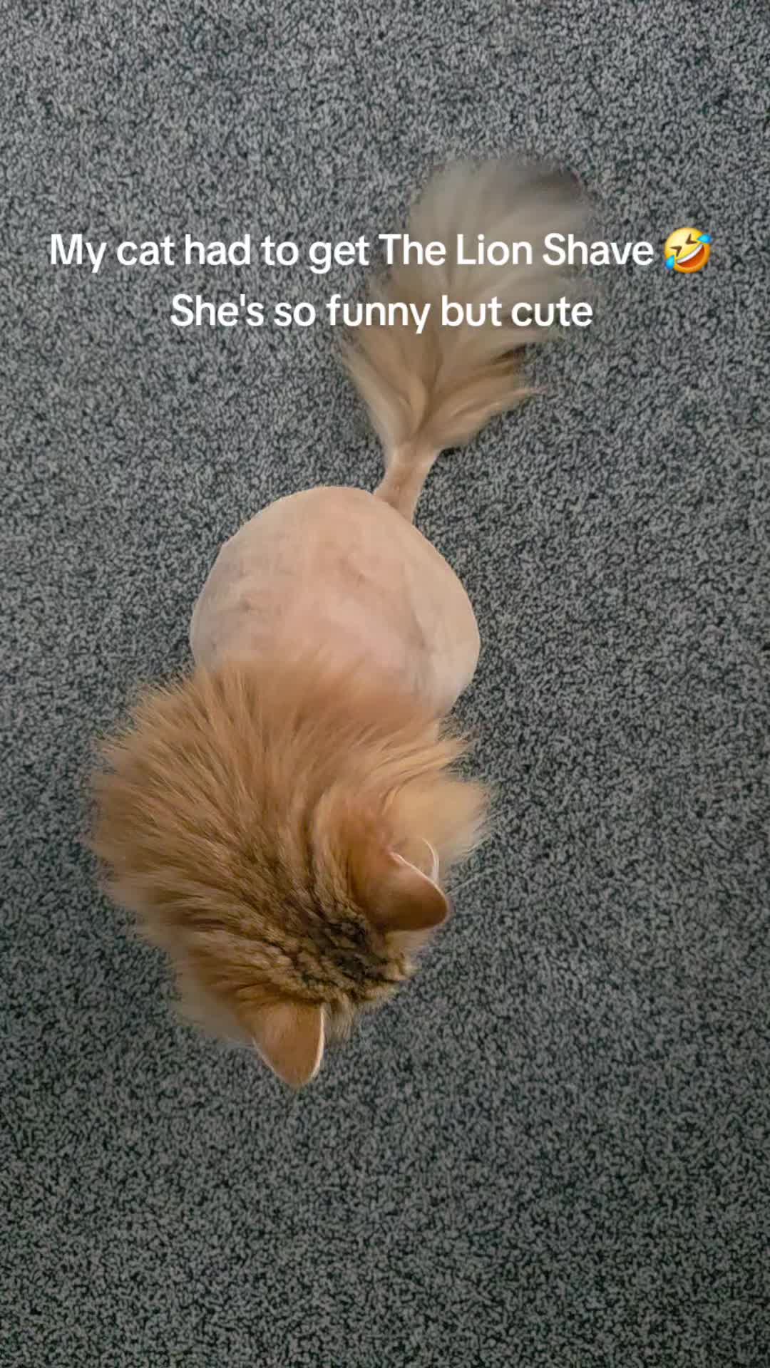 @Iseyara