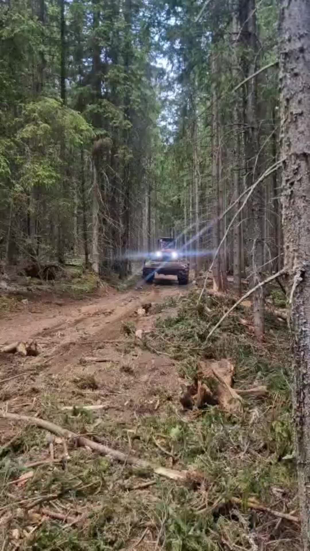 @Darius🌲