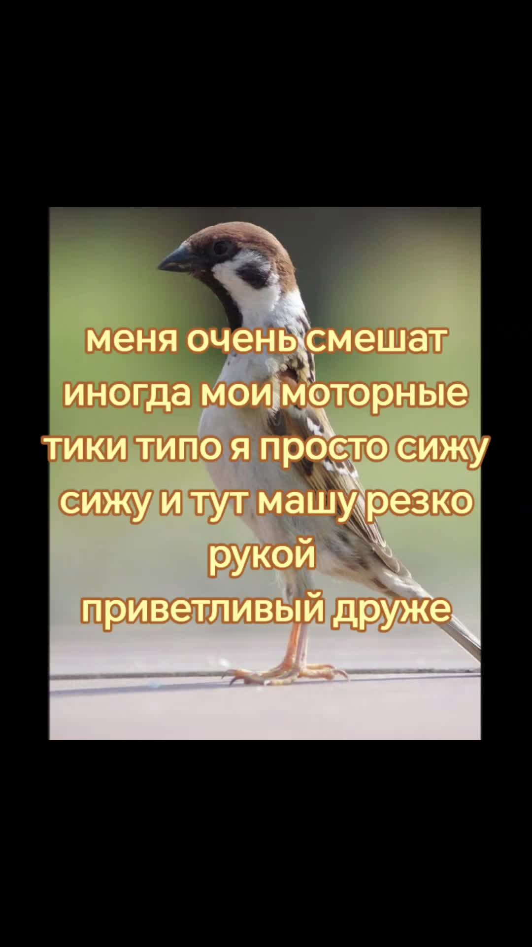 @𝓜арк )) ׁ𝜗 #1rlℒok1