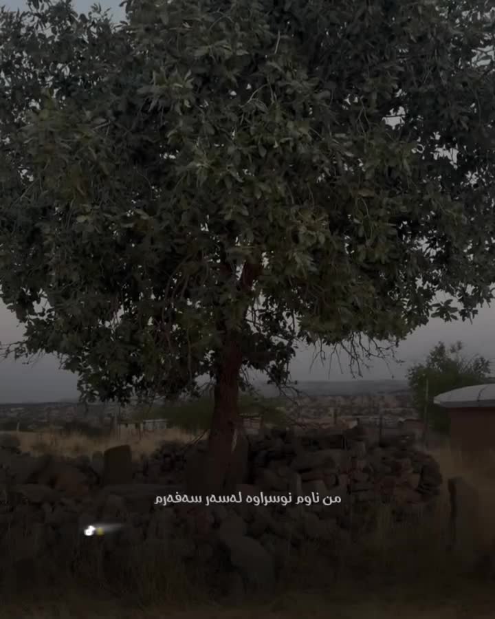 @rebwari namo رێبوارێکی نامۆ