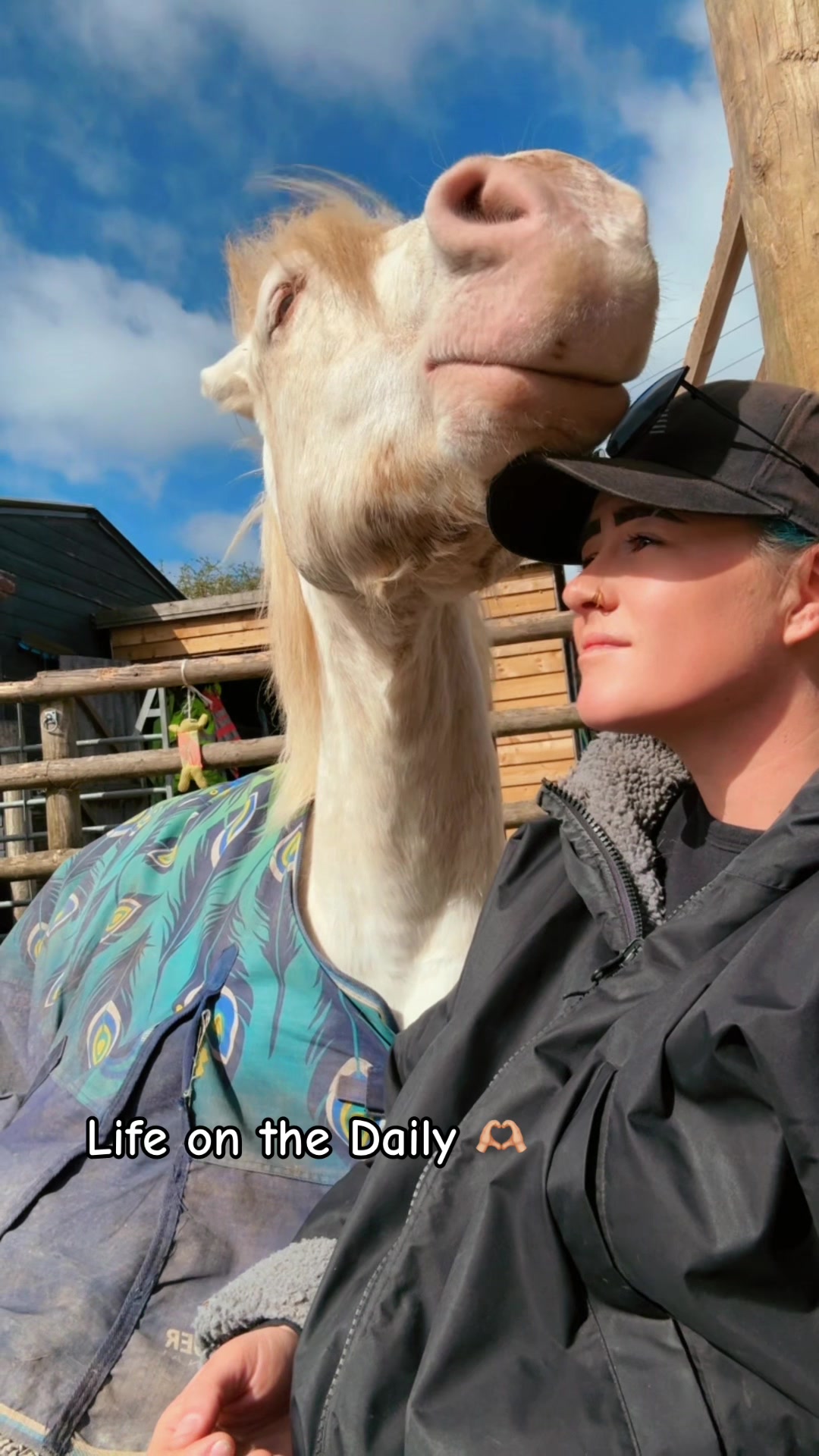 @LW_Equestrian
