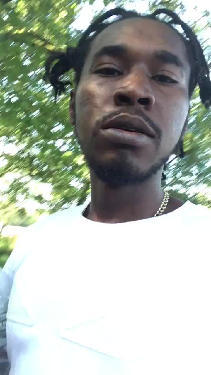 @🐊