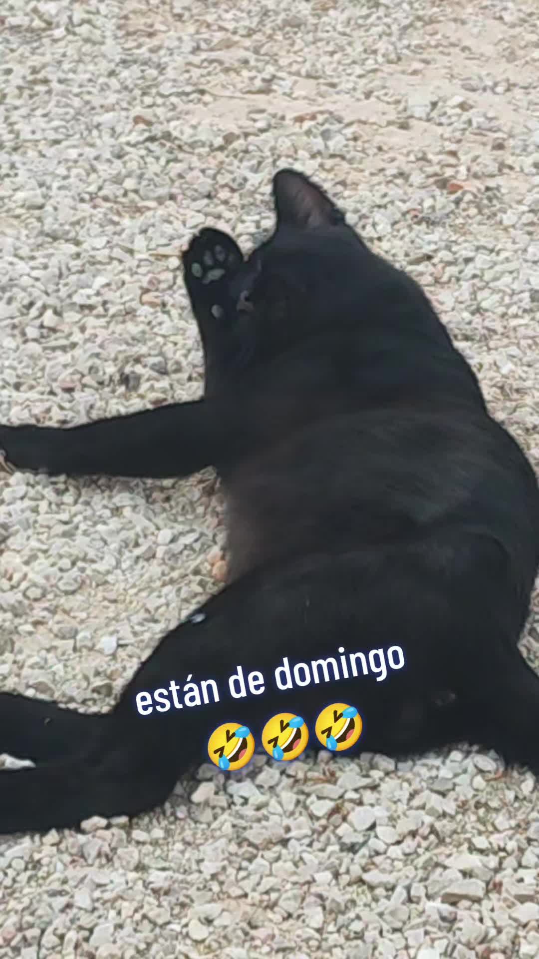 @Mari
