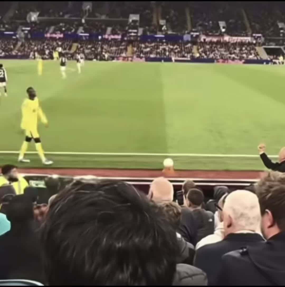 @THFC_leo