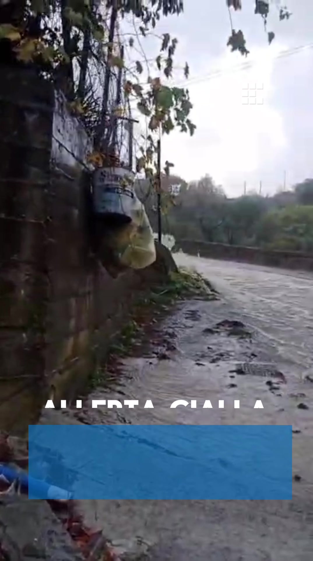 @primocanale.it