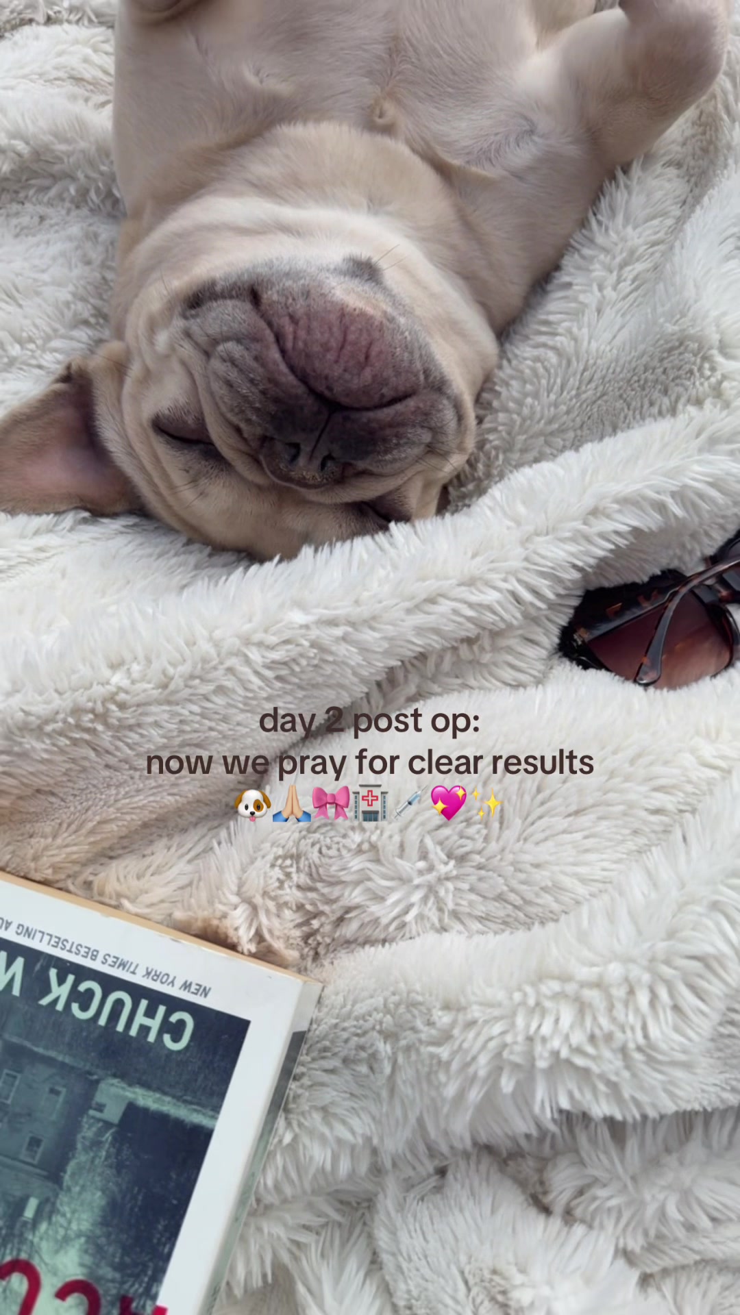 @Abbeyjane 🧸☁️✨