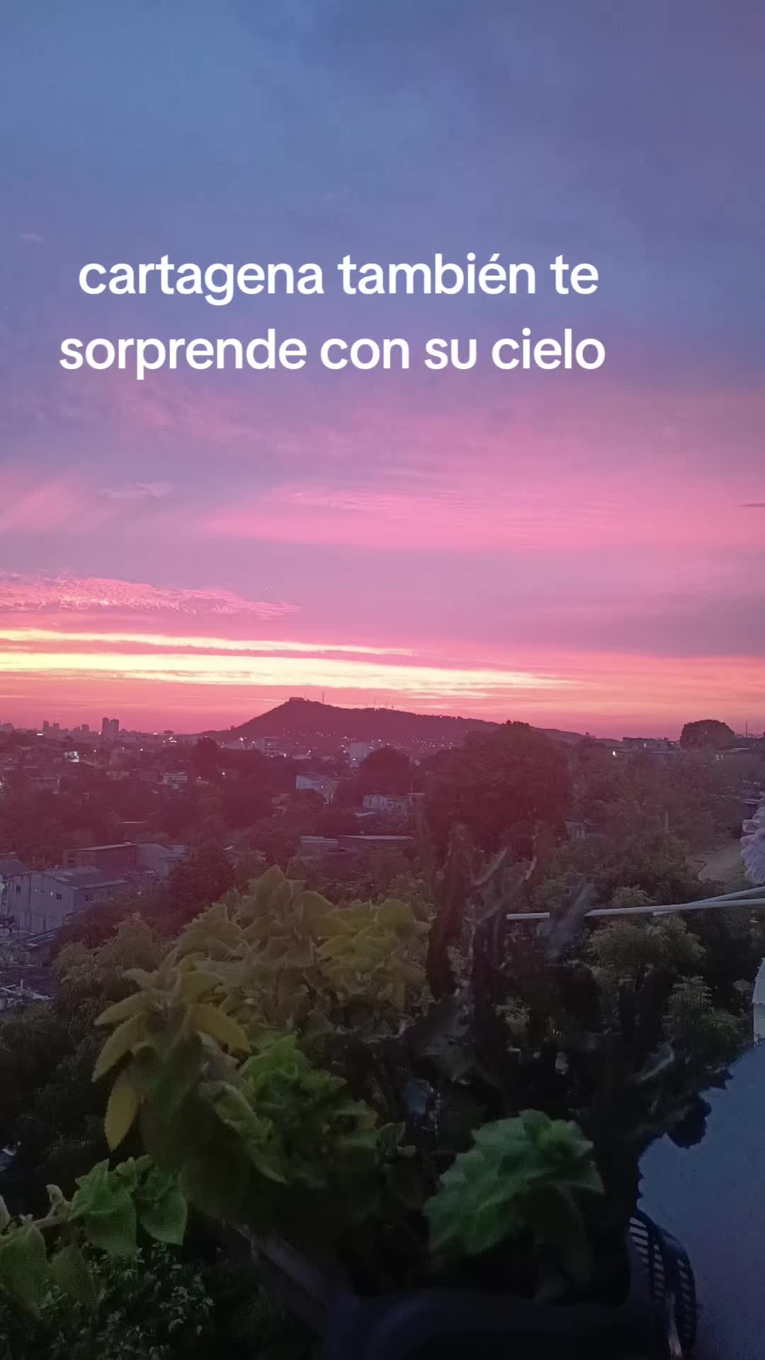 @Dania Olivares