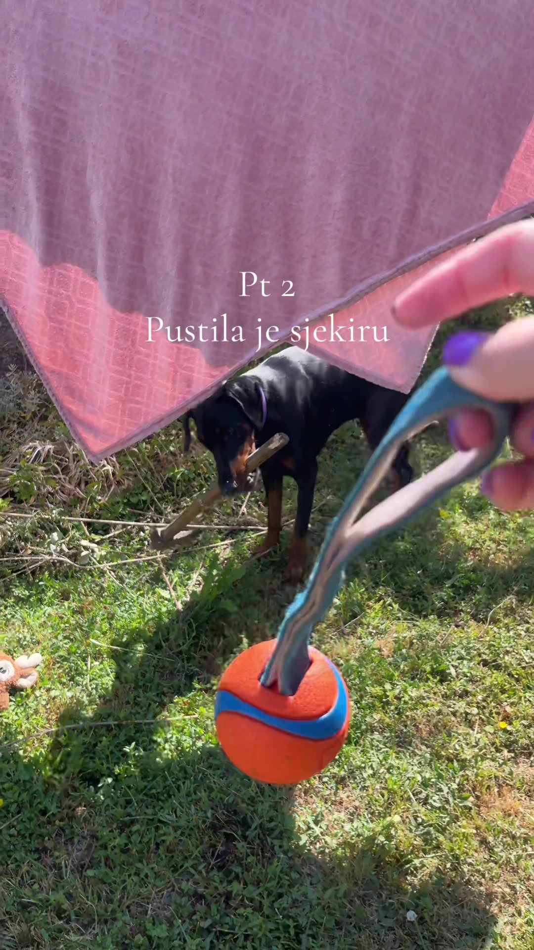 @Karmela