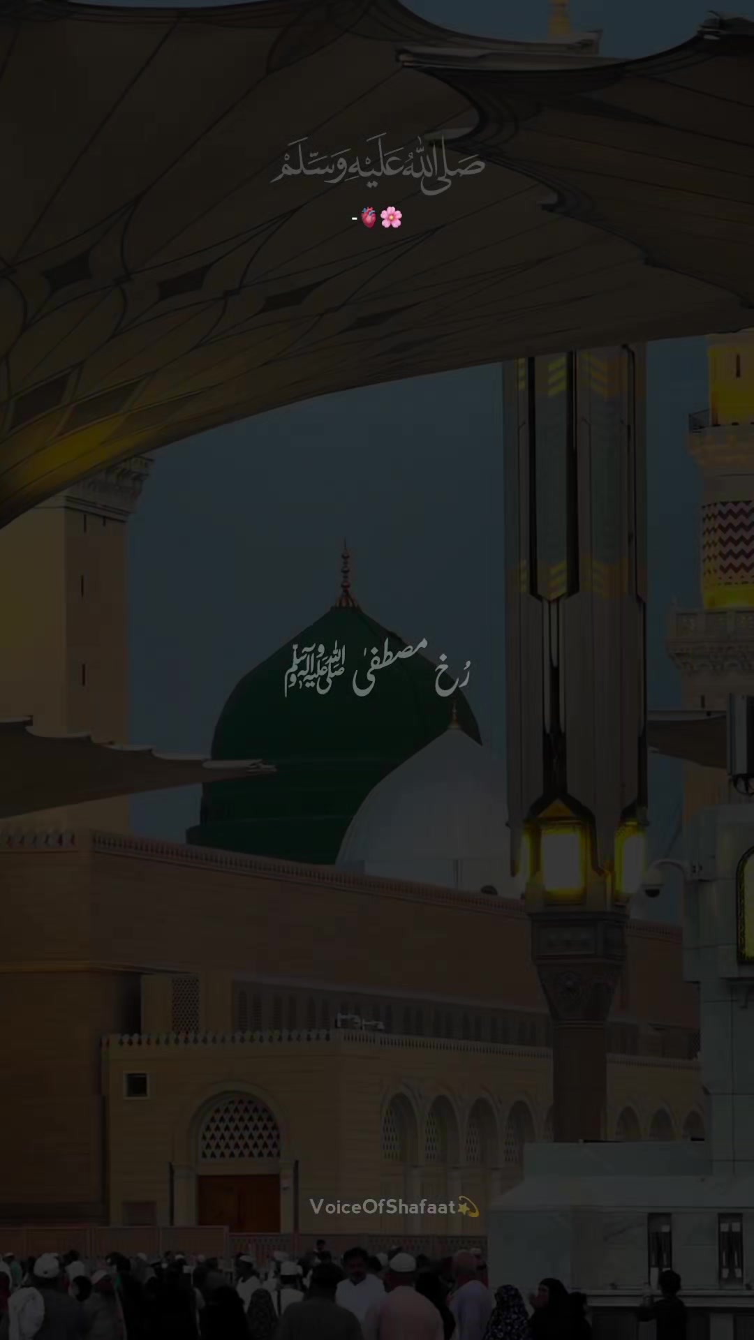 @VoiceOfShafaat💫